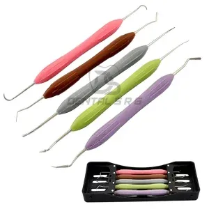 Dental Composite Filling Instruments Set of 5 Silicon Handle LM Arte & Cassette